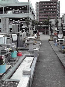 201008131236000.jpg